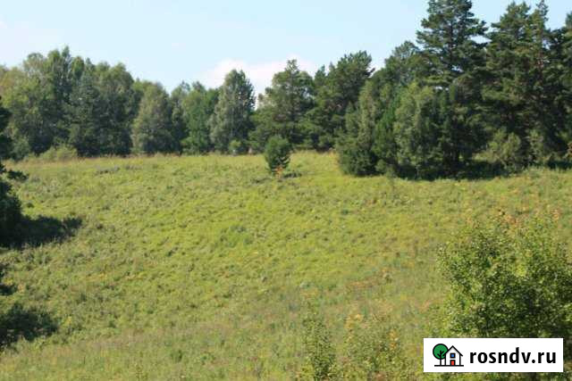 Участок СНТ, ДНП 600 сот. на продажу в Белокурихе Белокуриха - изображение 1