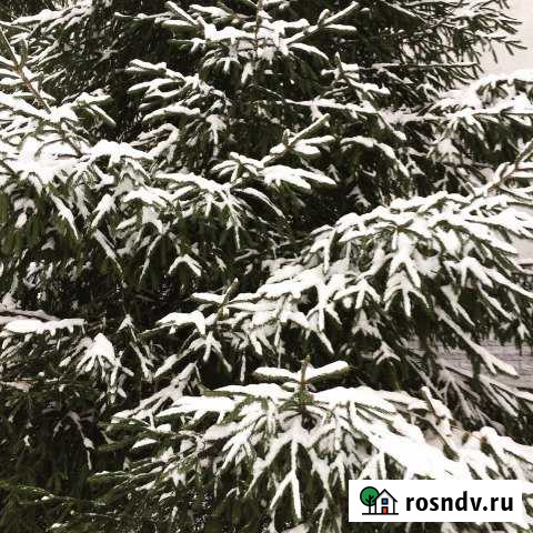 Дом 108 м² на участке 7 сот. на продажу в Ртищево Ртищево - изображение 1