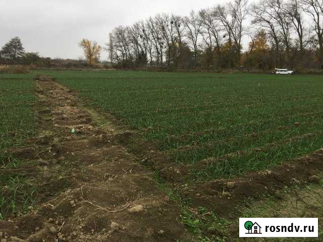 Участок СНТ, ДНП 75 сот. в аренду в Мамедкале Мамедкала - изображение 1