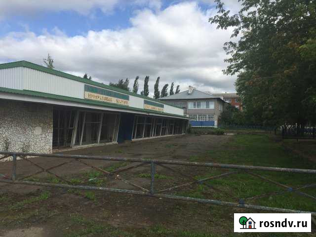 Торговое помещение, магазин, 724.9 кв.м. Янаул - изображение 1