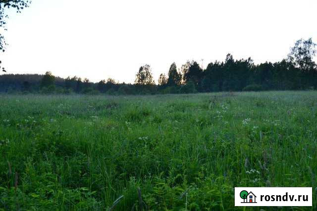 Участок СНТ, ДНП 300000 сот. на продажу в Питкяранте Питкяранта - изображение 1