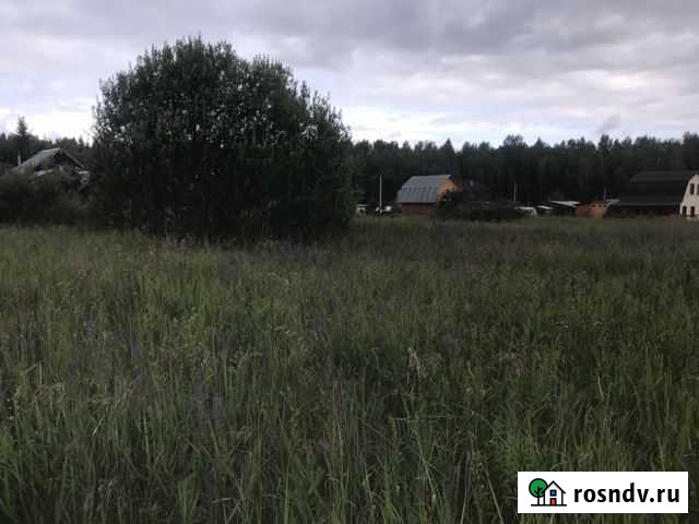 Участок СНТ, ДНП 18 сот. на продажу в Дорохово Дорохово - изображение 1