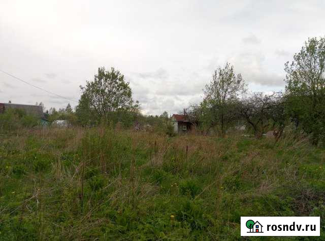 Участок СНТ, ДНП 5 сот. на продажу в Кингисеппе Кингисепп - изображение 1