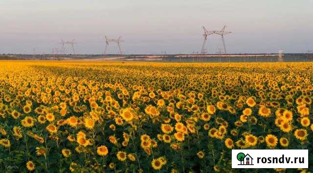 Участок СНТ, ДНП 660 сот. на продажу в Красноперекопске Красноперекопск - изображение 1