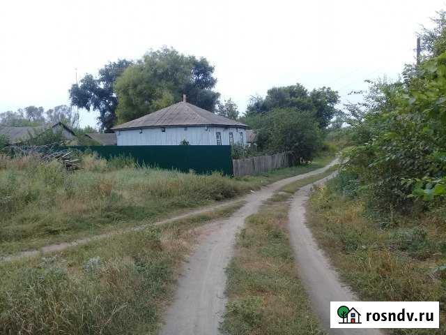 Дом 56 м² на участке 25 сот. на продажу в Репьевке Репьевка - изображение 1