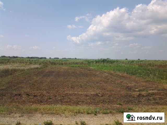 Участок ИЖС 10 сот. на продажу в Гривенской Гривенская - изображение 1