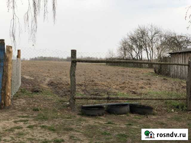 Участок ИЖС 34 сот. на продажу в Жуковке Жуковка - изображение 1