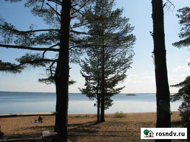 Участок СНТ, ДНП 10 сот. на продажу в Пряже Пряжа - изображение 1