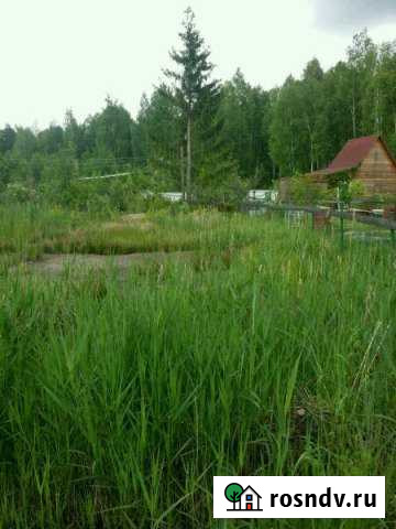 Участок СНТ, ДНП 6 сот. на продажу в Дрезне Дрезна - изображение 1