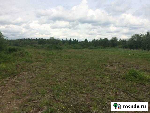 Участок СНТ, ДНП 10 сот. на продажу на Лугах Луга - изображение 1