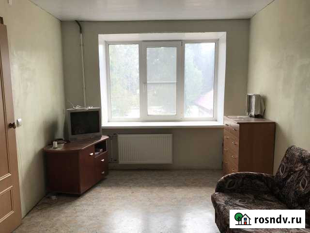 1-комнатная квартира, 30 м², 2/5 эт. на продажу в Сясьстрое Сясьстрой - изображение 1