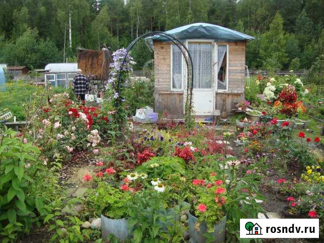 Участок ИЖС 22 сот. на продажу в Судах Суда - изображение 1