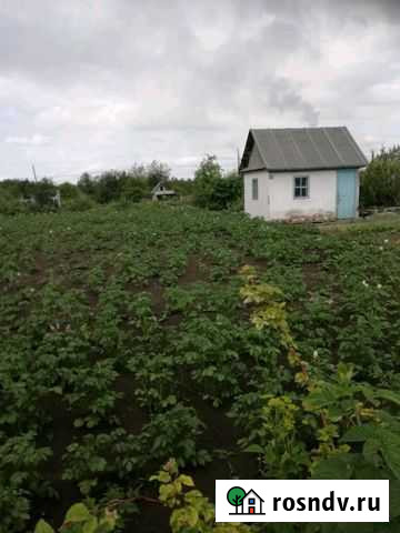 Дача 20 м² на участке 8 сот. на продажу в Ачинске Ачинск - изображение 1