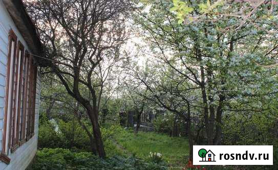 Участок СНТ, ДНП 6 сот. на продажу в Троицке Московской области Троицк - изображение 1