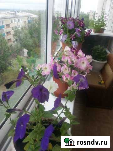 4-комнатная квартира, 77 м², 5/10 эт. на продажу в Амурске Амурск - изображение 1