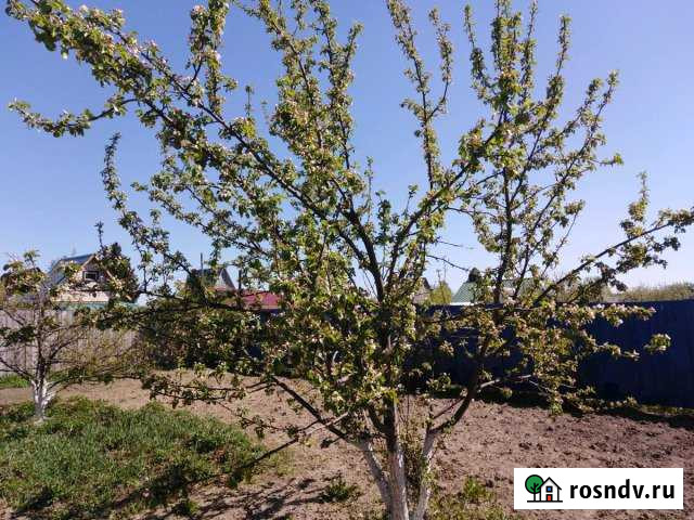 Дача 40 м² на участке 5 сот. на продажу в Каскаре Каскара - изображение 1