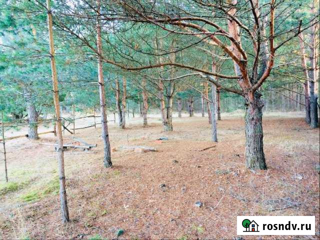 Участок СНТ, ДНП 3 сот. на продажу в Перемышле Перемышль - изображение 1