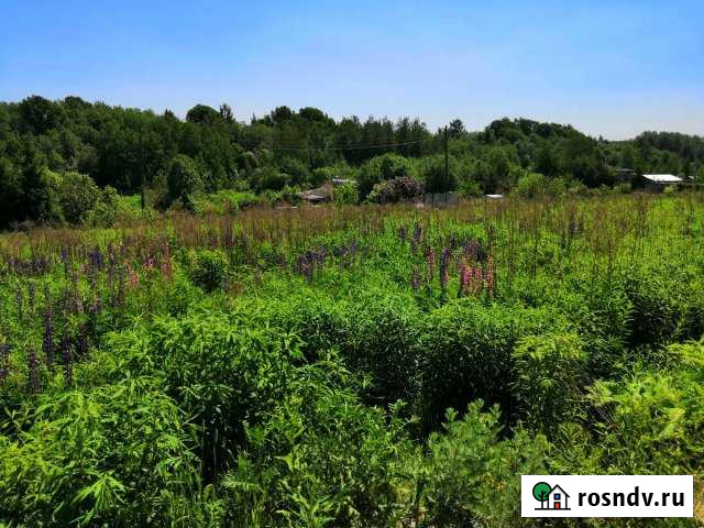 Участок СНТ, ДНП 6 сот. на продажу в Пушкино Пушкино - изображение 1