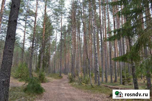 Дом 84 м² на участке 15 сот. на продажу в Селижарово Селижарово - изображение 1