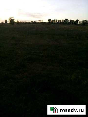 Участок ИЖС 50 сот. на продажу в Воронцовке Воронцовка - изображение 1