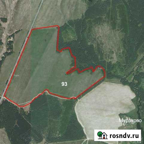 Участок СНТ, ДНП 9333 сот. на продажу в Гороховце Гороховец - изображение 1