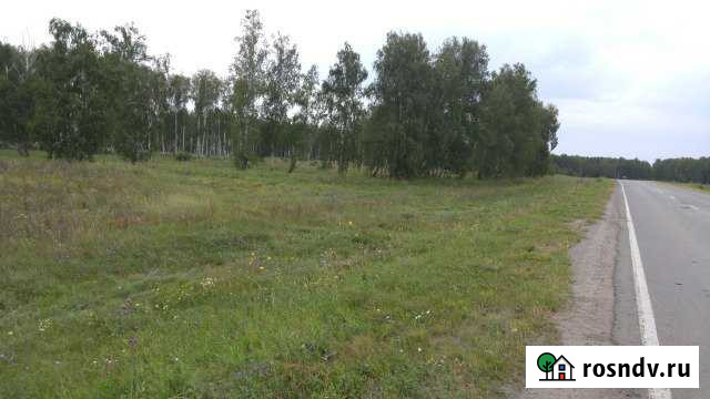 Участок ИЖС 80 сот. на продажу в Красногорском Челябинской области Красногорский - изображение 1