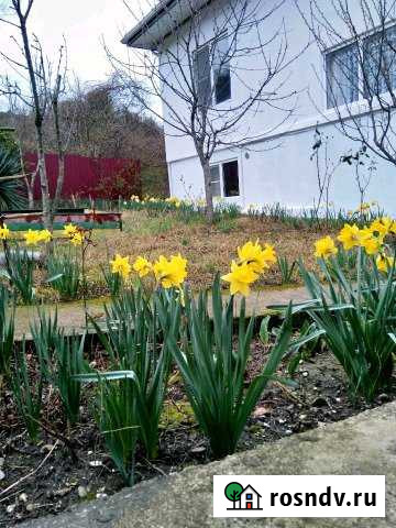 Дом 240 м² на участке 7 сот. на продажу в Агое Агой - изображение 1