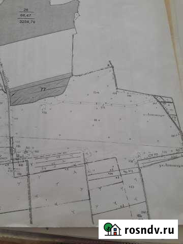 Участок СНТ, ДНП 425 сот. на продажу в Волосово Волосово - изображение 1
