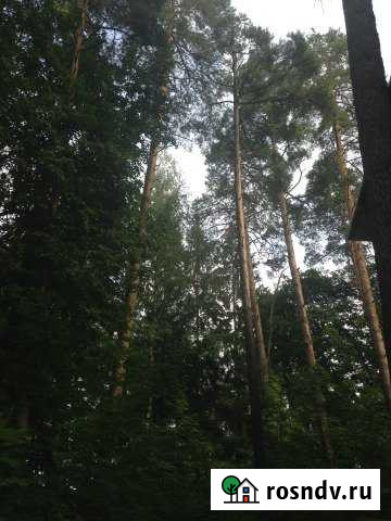 Участок ИЖС 31 сот. на продажу в Кратово Кратово - изображение 1