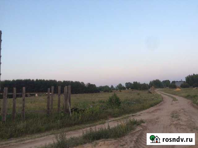 Участок СНТ, ДНП 250 сот. на продажу в Дружбе Нижегородской области Дружба - изображение 1