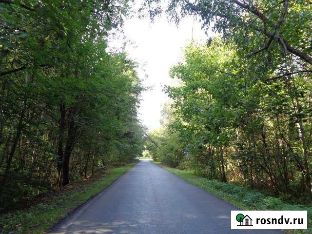 Участок СНТ, ДНП 10 сот. на продажу в ЛМС ЛМС - изображение 1