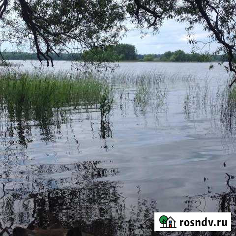 Дом 50 м² на участке 13 сот. на продажу на Лугах Луга - изображение 1