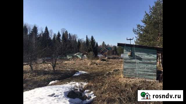 Участок СНТ, ДНП 10 сот. на продажу в Большой Ижоре Большая Ижора - изображение 1