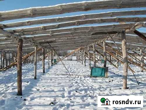 Участок СНТ, ДНП 50 сот. в аренду в Ельце Елец - изображение 1