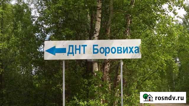 Участок СНТ, ДНП 10 сот. на продажу в Петушках Петушки - изображение 1