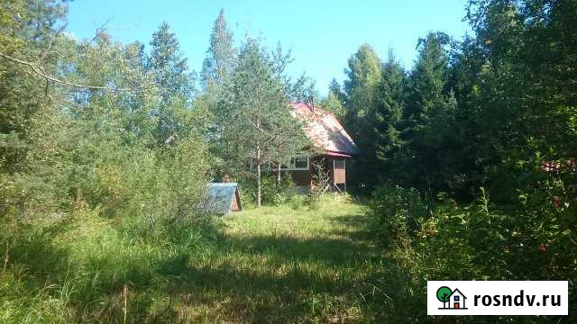 Дом 80 м² на участке 12 сот. на продажу в Лебяжьем Ленинградской области Лебяжье - изображение 1