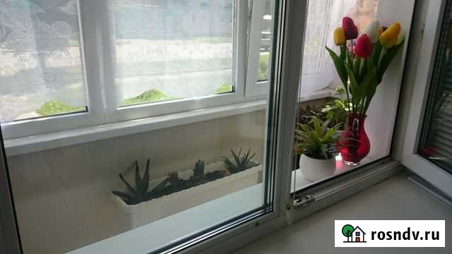 1-комнатная квартира, 34 м², 1/5 эт. на продажу в Шадринске Шадринск - изображение 1