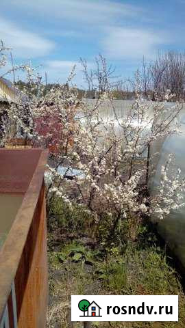 Участок СНТ, ДНП 3 сот. на продажу в Миассе Миасс - изображение 1