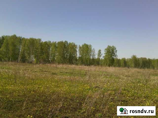 Участок СНТ, ДНП 15 сот. на продажу в Каменске-Уральском Каменск-Уральский - изображение 1