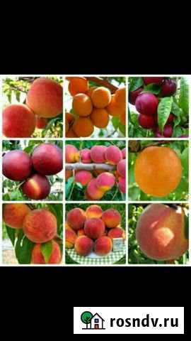 Участок ИЖС 15 сот. на продажу в Тахтамукае Тахтамукай - изображение 1