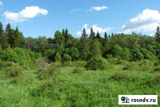 Участок СНТ, ДНП 500 сот. на продажу в Кимрах Кимры - изображение 1