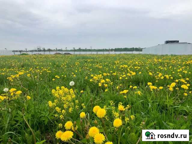 Участок СНТ, ДНП 10 сот. на продажу в Коммунаре Коммунар - изображение 1