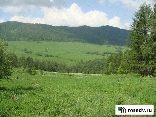 Участок СНТ, ДНП 7500 сот. на продажу в Онгудае Онгудай - изображение 1