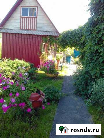 Дом 40 м² на участке 15 сот. на продажу в Чистогорском Чистогорский - изображение 1