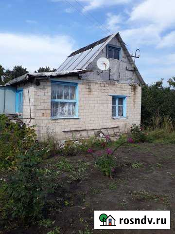 Дача 20 м² на участке 10 сот. на продажу в Хохольском Хохольский - изображение 1