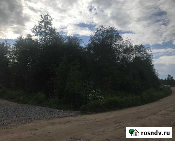 Участок СНТ, ДНП 9 сот. на продажу в Мге Мга - изображение 1