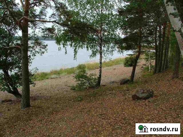 Участок СНТ, ДНП 10 сот. на продажу в Высоцке Высоцк - изображение 1