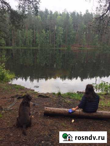 Участок ИЖС 20 сот. на продажу на Лугах Луга - изображение 1