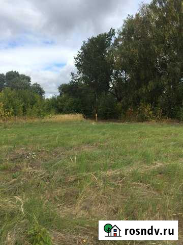 Участок СНТ, ДНП 220 сот. на продажу в Пестрецах Пестрецы - изображение 1