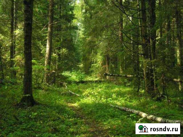 Участок ИЖС 14 сот. на продажу в Златоусте Златоуст - изображение 1